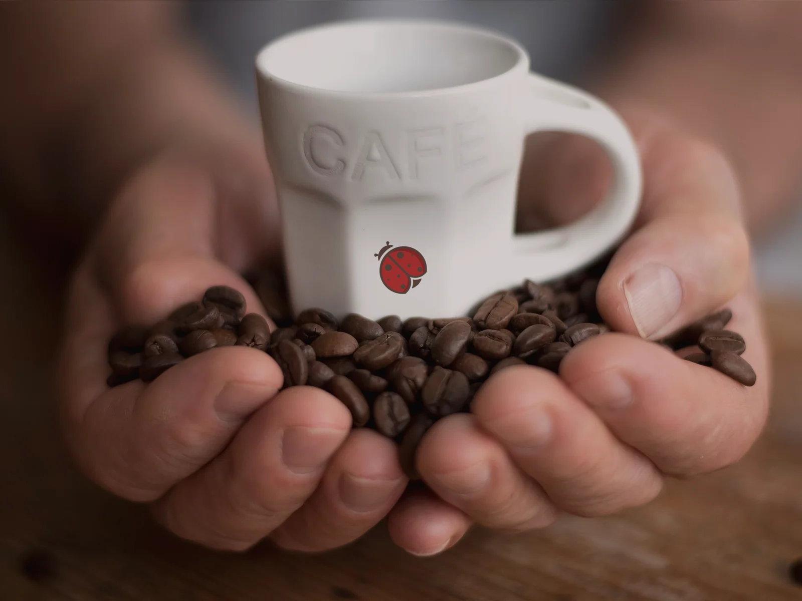 Projeto Ladybug Cafeteria